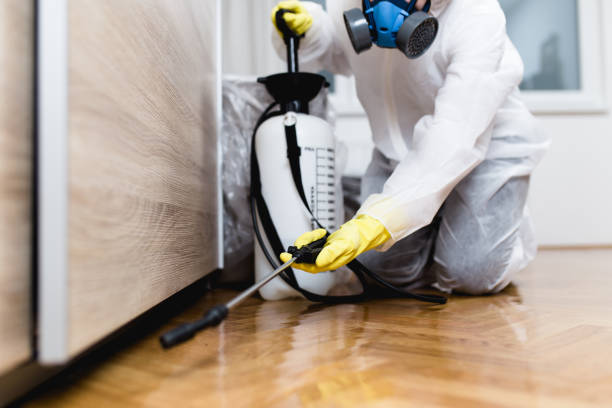Best Emergency Pest Control  in Olney, IL