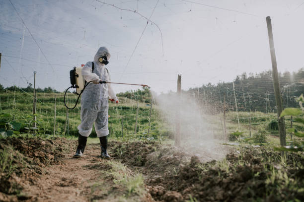 Best Commercial Pest Control Services  in Olney, IL