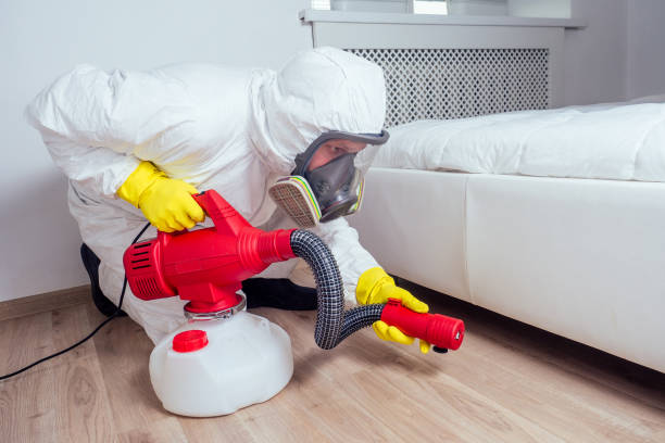 Best Bed Bug Extermination  in Olney, IL