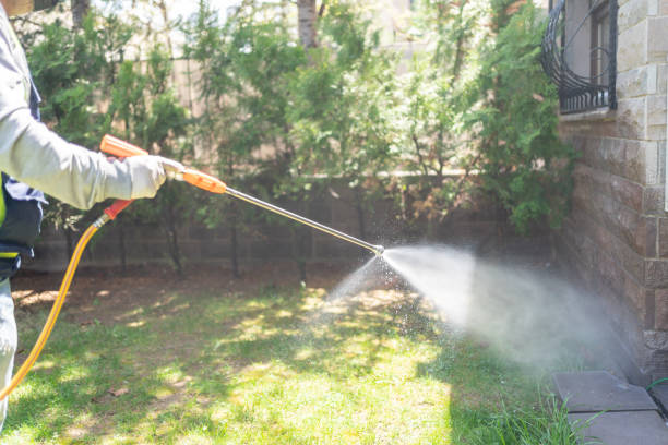 Best Flea Control Services  in Olney, IL
