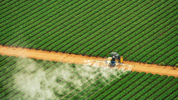 Best Pest Prevention Services  in Olney, IL