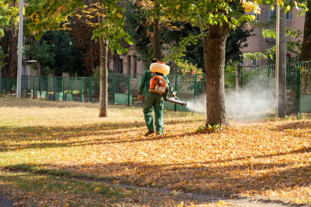 Best Affordable Pest Control Services  in Olney, IL