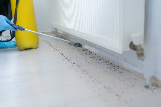 Best Cockroach Control Services  in Olney, IL