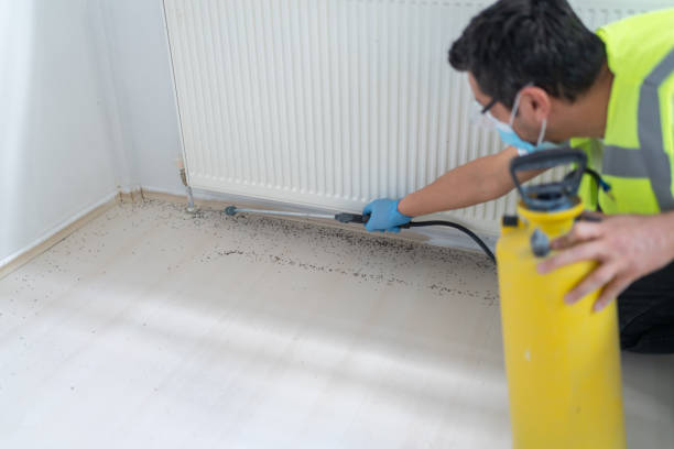 Best Ant Control Services  in Olney, IL