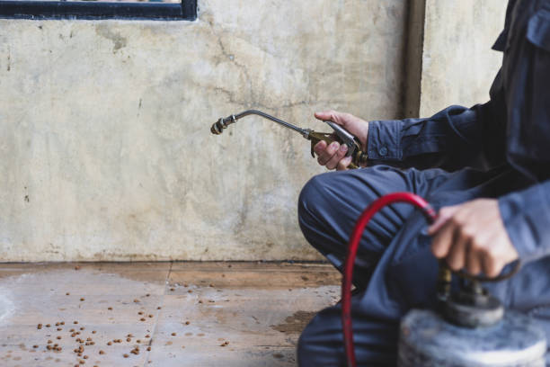 Best Wasp Removal Services  in Olney, IL